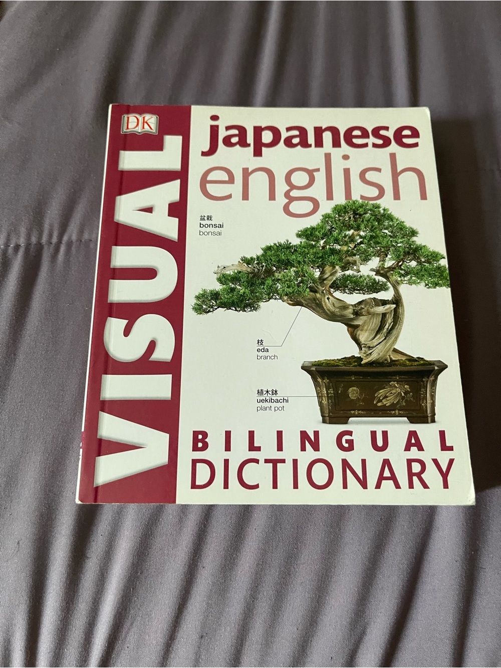 DK Visual Japanese-English Bilingual Dictionary - White & Maroon